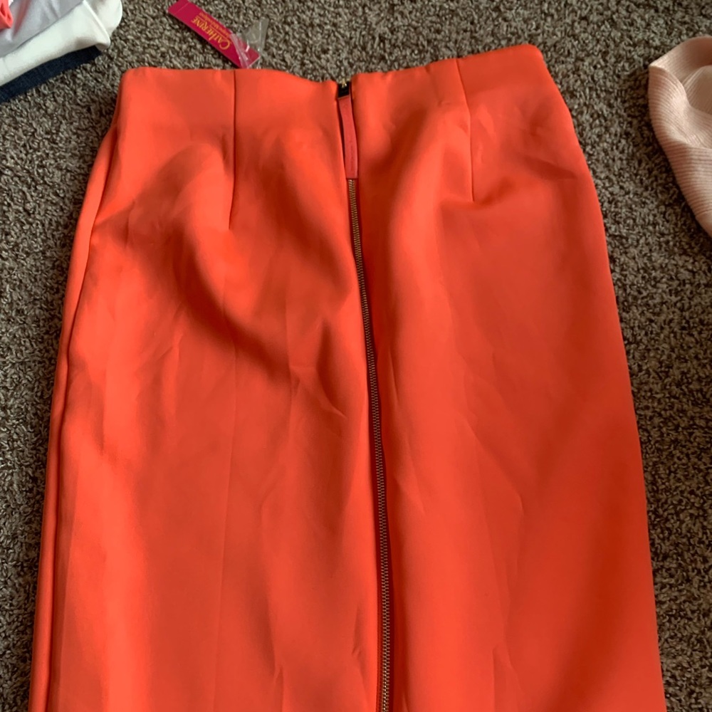 NWT Pencil Skirt